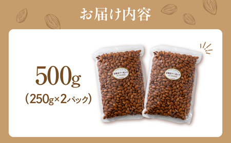 【3回定期便】素焼き アーモンド 500g（250g×2袋） 