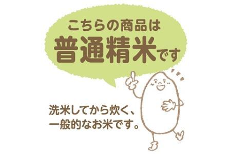 愛知県産あいちのかおり 10kg　安心安全なヤマトライス　H074-547