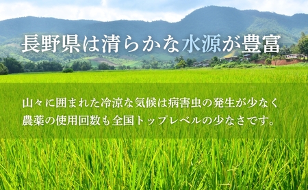 コシヒカリ 精米 30kg 令和7年産｜ コシヒカリ 千曲市 長野県 信州