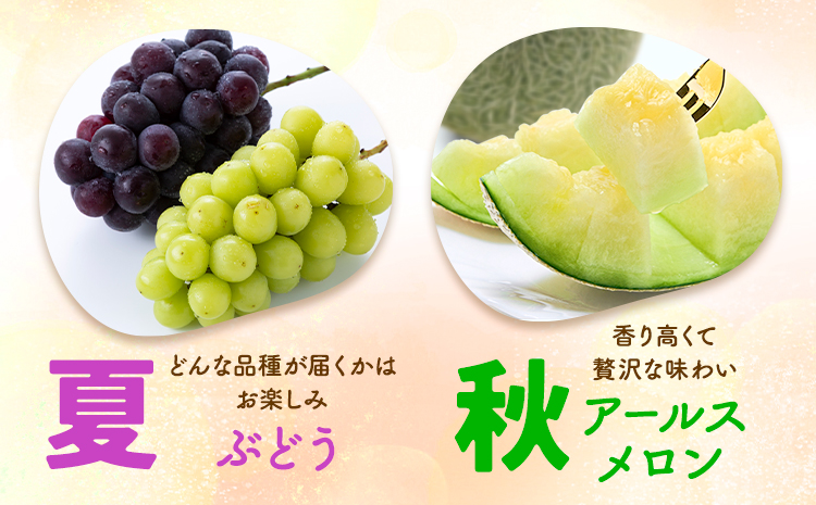 【2回定期便】旬のフルーツ便【養生市場】 定期便 ぶどう詰め合わせ約1.5kg メロン約2kg×2玉 2回発送 《季節ごとに出荷予定》 果物 フルーツ 九州産 熊本県産 送料無料