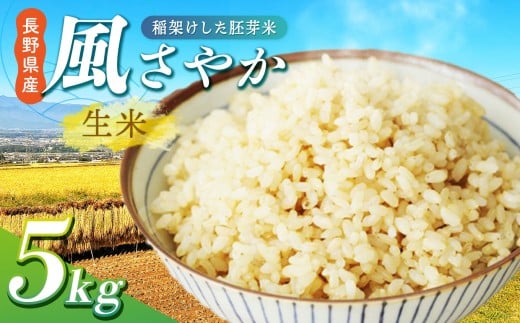 【令和7年産先行予約】【風情ある希少品】 風さやか（信州推奨米） 稲架けした胚芽米 5kg 120個限定2人暮らし 約１ヶ月分 | 米 生米 きまい お米 胚芽米 ごはん ご飯 稲架け 風さやか 2人暮らし 限定 希少 長野県 塩尻市