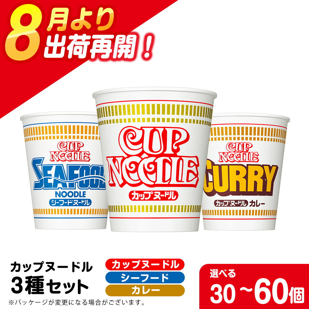 【ふるさと納税】 日清ヌードル3種セット 選べる各10食・各20食入 合計30食・60食 麺類 ラーメンラーメン麺 即席麺 麺類 ラーメン カップ麺 インスタント 麺類 カップラーメン 【北海道千歳市】ギフト ふるさと納税