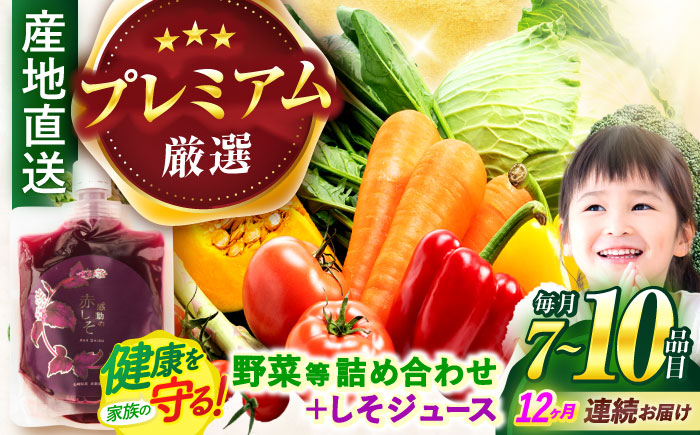 【12回定期便】野菜等詰め合わせプレミアムセット(7～10品目) / 野菜 果物 フルーツ くだもの きのこ しそ / 諫早市 / 松尾農園 [AHAY027]