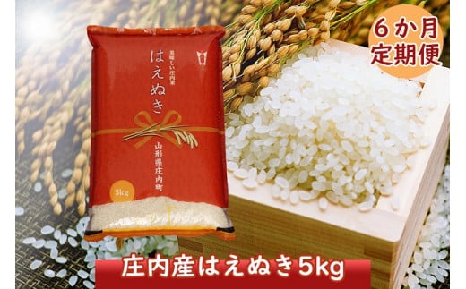 ＜12月中旬発送＞庄内米6か月定期便！はえぬき5kg（入金期限：2024.11.25）