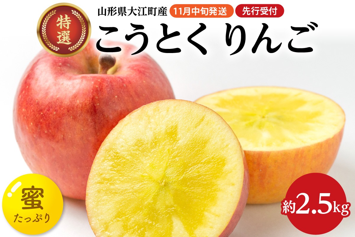 
            《先行予約》特選こうとくりんご約2.5kg 【2024年11月中旬頃～発送予定】【大江町産・山形りんご・大地農産・11月・12月】 【028-024】
          
