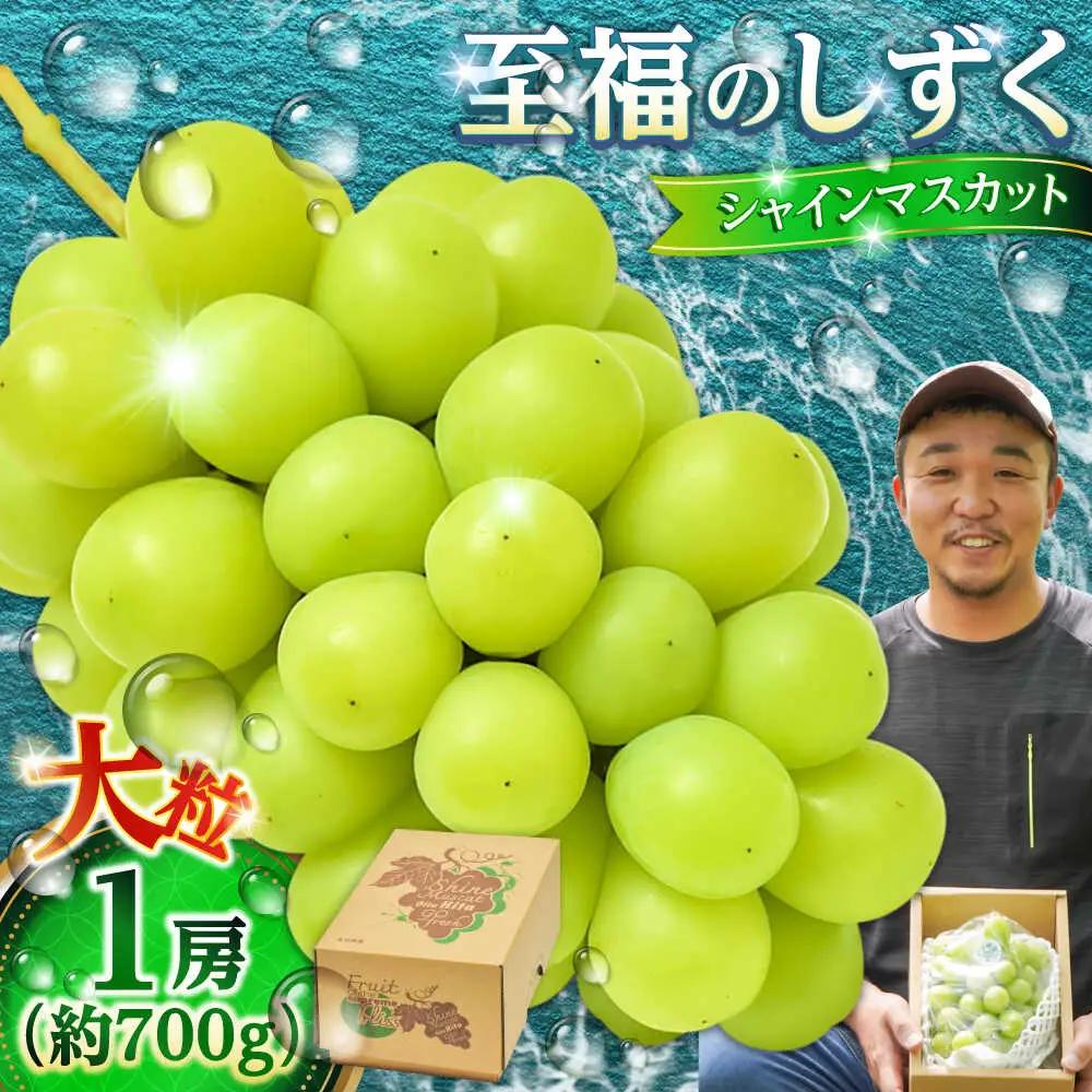 シャインマスカット 約700g 至福のしずく [AREJ001]シャインマスカット