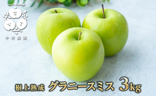 2026年産先行予約 樹上熟成　グラニースミス 3kg