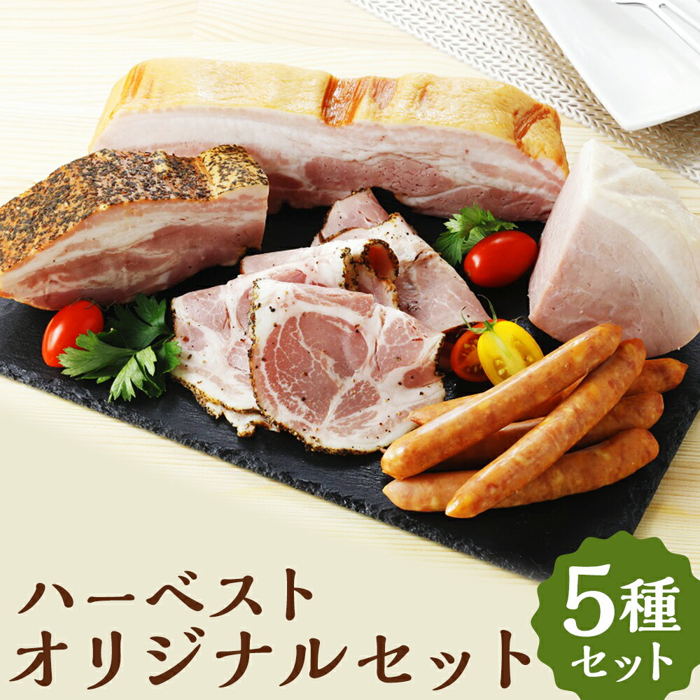 【ふるさと納税】『ハーベスト』オリジナルセット 5種 城川ベーコン パストラミスライス あら挽きウインナー ガーリックベーコン モーツァルトシンケン ベーコン ソーセージ お肉 肉 セット 詰め合わせ 加工品 国産 愛媛 愛媛県 送料無料（908）