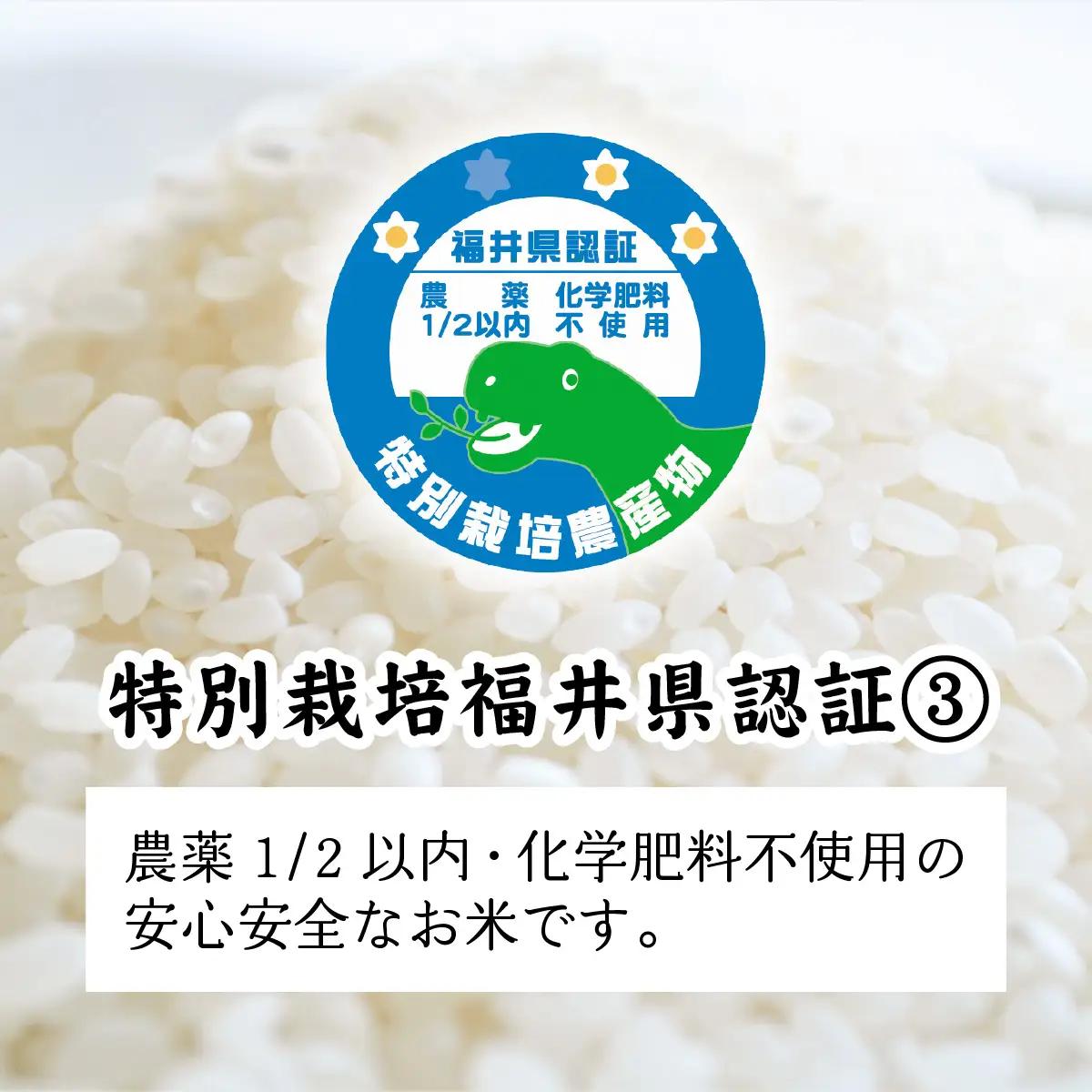 【令和7年産 】ゆうだい21 減農薬・化学肥料不使用  5kg 精米 
