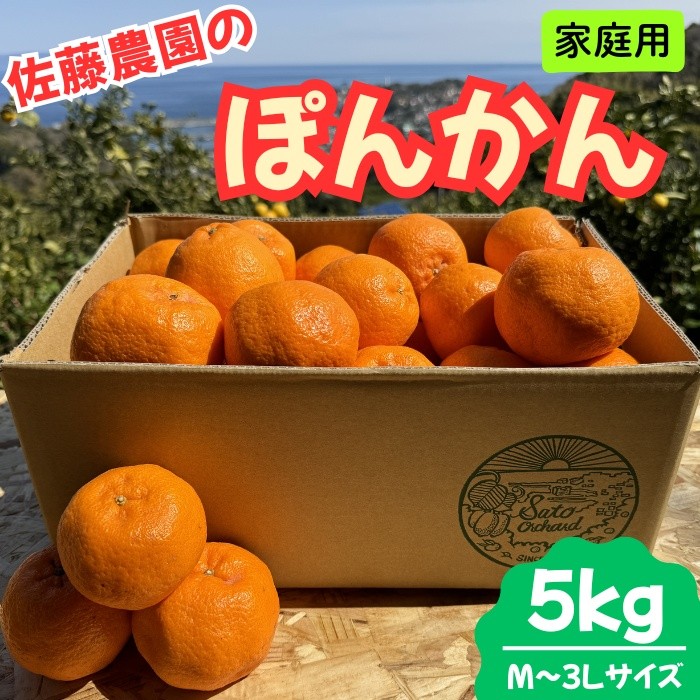 
            東伊豆・佐藤農園のポンカン　家庭用5kg（Mサイズ～3Lサイズ） 1321 ／ 佐藤農園 果物 フルーツ 農家直送 静岡県 東伊豆町
          