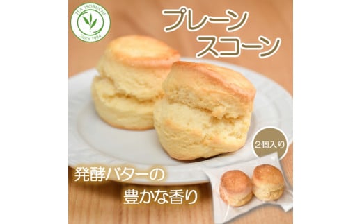 スコーン 12個 セット 2種 ( プレーン 6個 アールグレイ 6個 ) 焼き菓子 お菓子 焼菓子 おやつ 洋菓子 デザート スイーツ 人気 発酵 バター コク 風味 すこーん 常温 ミルクティー 