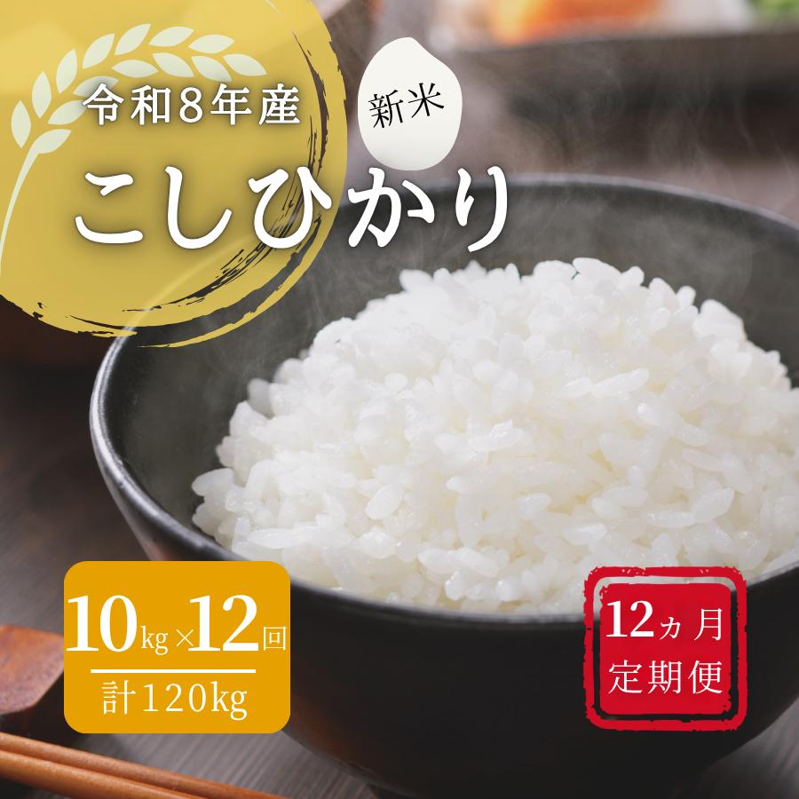 
                  150266【令和8年産／お米定期便／12ヵ月】しまね川本 こしひかり 10kg (計120kg）
                