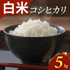SA2844　令和7年産【白米】コシヒカリ　5kg(5kg×1袋) YA