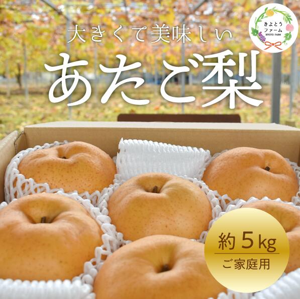 【ふるさと納税】 あたご梨 ご家庭用 / 約5kg (岡山県産) 【2026年先行予約】 【2026年11月以降より順次発送予定】 【KF-C008-03】 / あたご梨 愛宕梨 梨 果物 くだもの フルーツ ご家庭用 きよとう果樹園 フルーツ王国 岡山県産