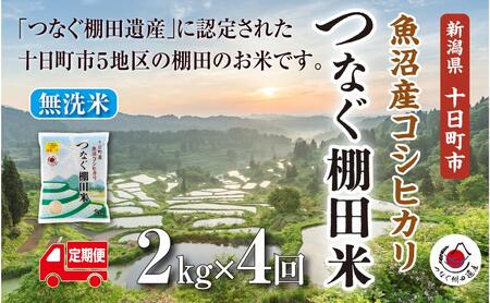 【定期便／全4回】無洗米2kg　令和7年産新潟県十日町市魚沼産コシヒカリ「つなぐ棚田米」 米 こしひかり 無洗米 定期 十日町市