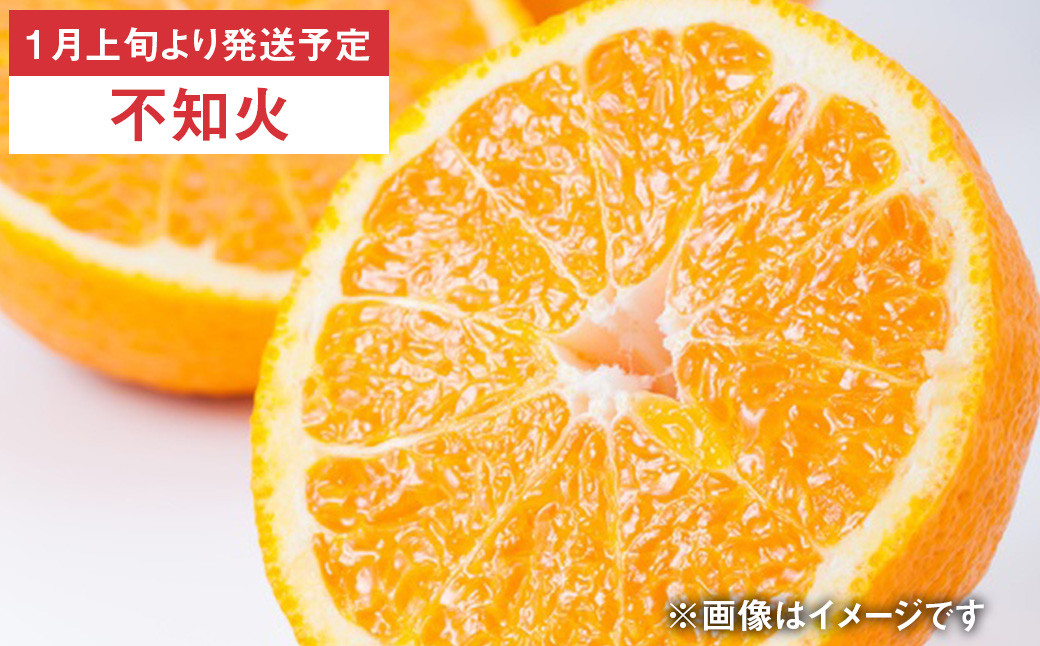 【年6回定期便】くまもとの柑橘定期便