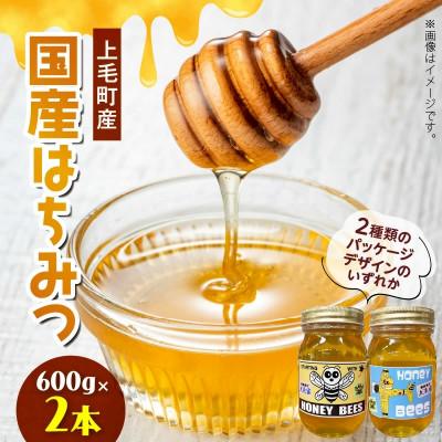 ふるさと納税 上毛町 国産はちみつ(上毛町産)600g×2本