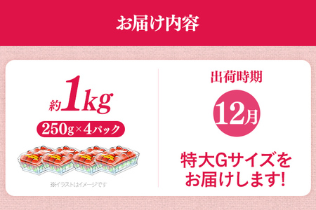 福岡県産 あまおう 1000g （250g×4パック） いちご 12月中発送 いちご 苺 フルーツ 果物 くだもの 大粒Gサイズ グランデ 農家直送 大粒 不揃い 福岡県 福岡 九州 グルメ お取り寄