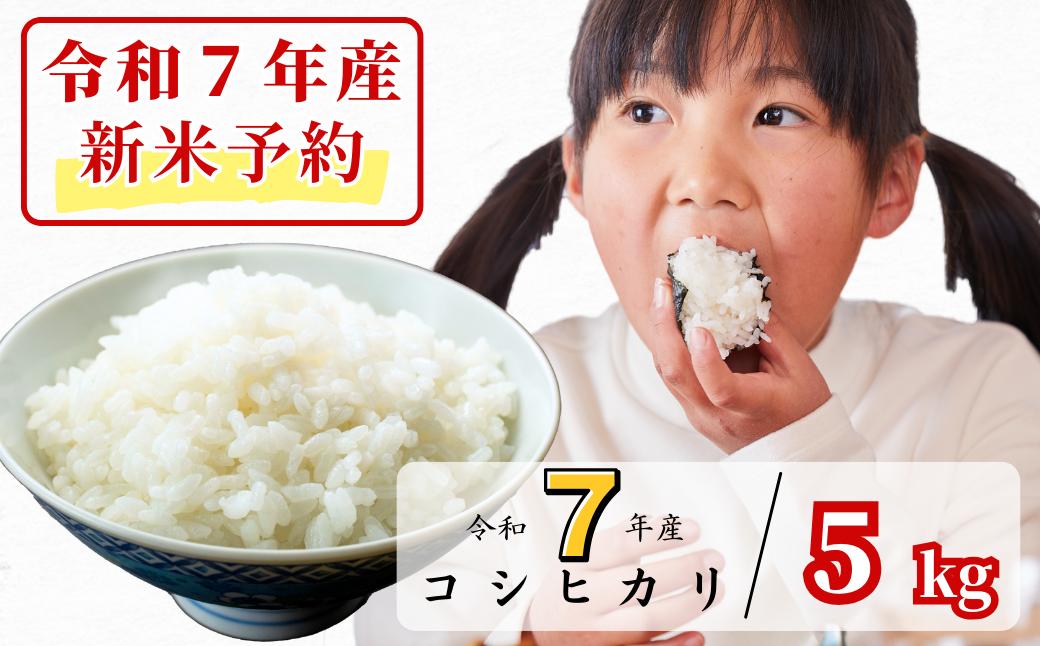 
            《令和7年産新米予約・10月ごろよりお届け開始》白米 5kg 令和7年産 コシヒカリ 岡山 あわくら源流米 K-af-AEDA
          