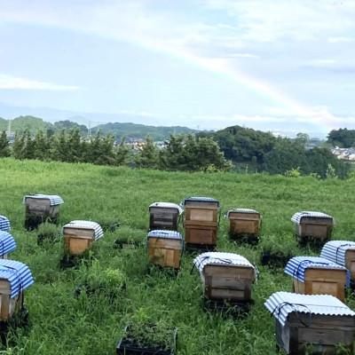 ふるさと納税 基山町 みよしの蜂蜜 (みかん) 220g×1本 |  | 02