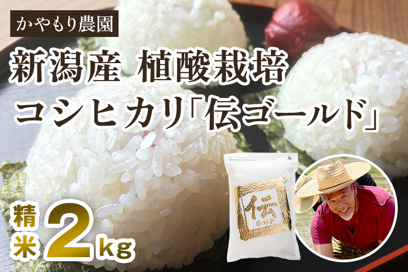 新潟産コシヒカリ「伝ゴールド」白米真空パック 精米2kg