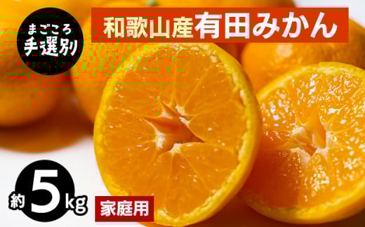 【まごころ手選別】和歌山産 有田みかん 5kg 家庭用 ※2025年11月上旬～2026年1月下旬頃に順次発送予定
