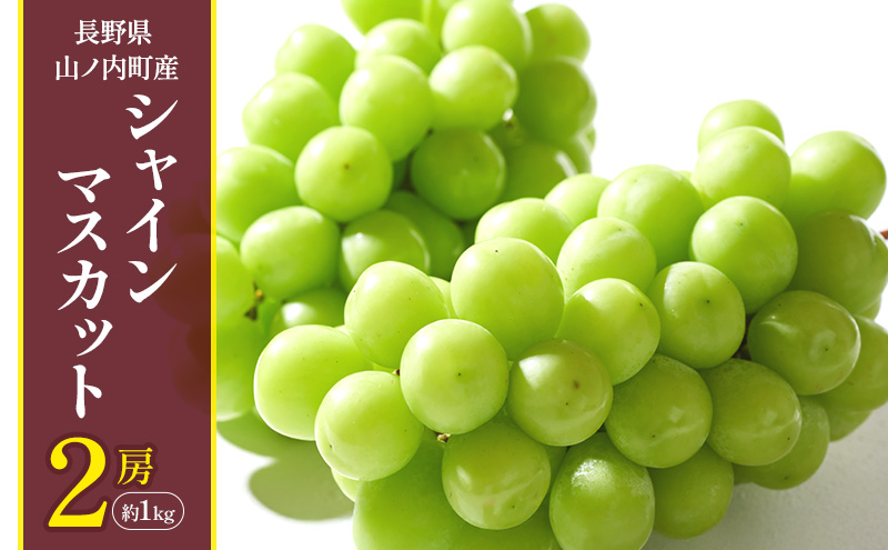 シャインマスカット2房 約1kg ぶどう ブドウ 果物 くだもの フルーツ 信州 長野