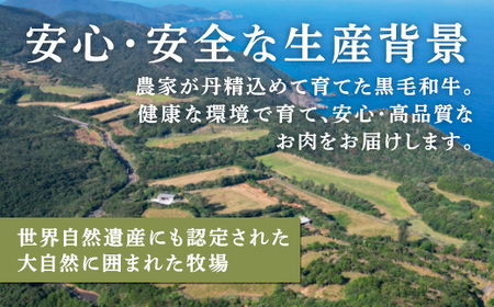 【鹿児島県産 黒毛和牛】 カルビ 400g 【数量限定】大都牛 ブランド 牛 うし 牛肉 ビーフ 奄美大島 宇検村 経産牛