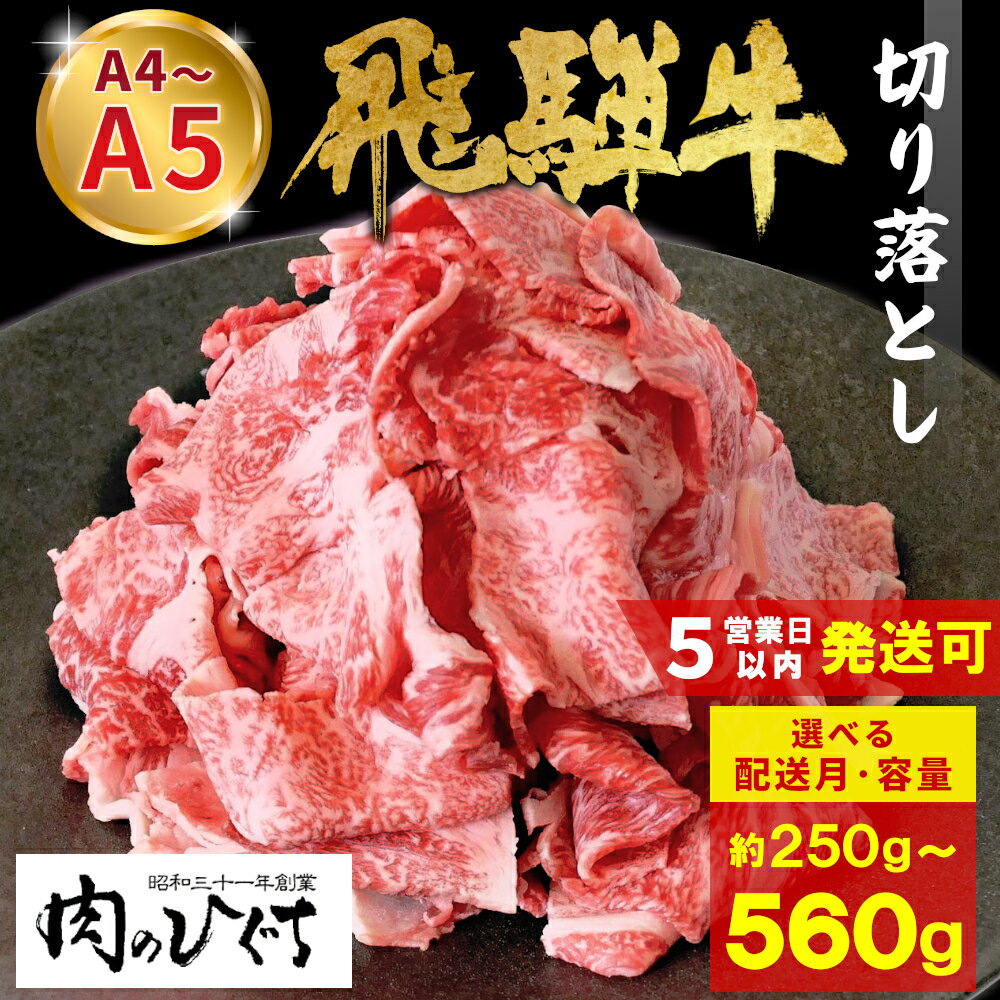 【ふるさと納税】【最速発送/発送時期が選べる】 飛騨牛 切り落とし 250g 560g A5 A4 国産 牛 冷凍 お試し 和牛 黒毛和牛 牛肉 切落し 切り落し 訳あり 牛丼 すき焼き しゃぶしゃぶ 岐阜 飛騨 贅沢 霜降り ロース バラ もも ウデ 肉のひぐち 5000円 五千円 10000円 一万円