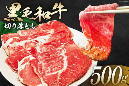 肉 訳あり 宮崎県産 黒毛和牛 切り落とし 500g [ウィズ・クリエイティブ 宮崎県 日向市 452060752] 国産 牛肉 和牛 冷凍配送 お肉