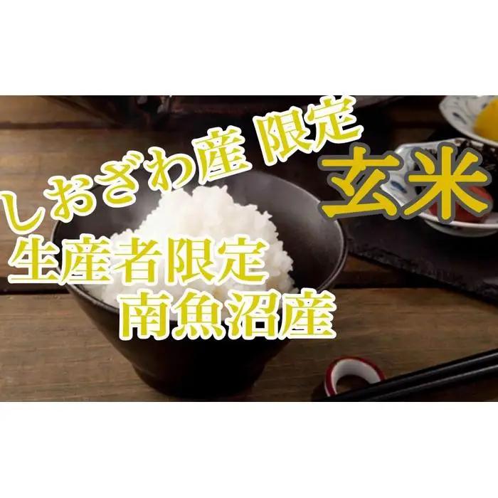 【令和7年】【定期便10kg×12ヶ月】玄米 しおざわ産限定 生産者限定 南魚沼産コシヒカリ｜玄米