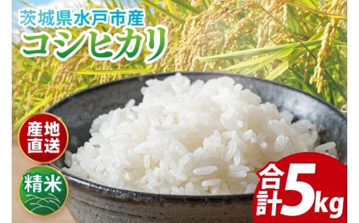【数量限定】【令和6年度産】茨城県産コシヒカリ 5kg【米 おこめ こしひかり 農家直送 直送 水戸市 茨城県】(ND-1)