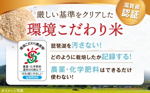  滋賀県 湖北のミルキークイーン 30kg (玄米)　米 お米 ご飯 ごはん ゴハン おにぎり 炊き込みご飯 人気 おすすめ