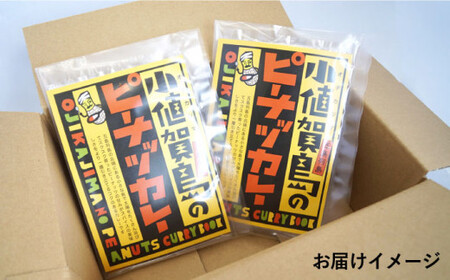 小値賀島の ピーナッツ カレー スパイス キット (4人前×2セット)[DAA021]/ 落花生 ピーナッツ