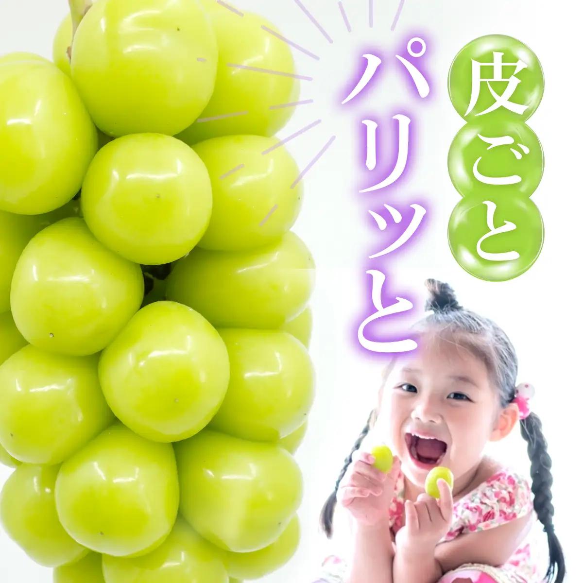 【2026年発送★先行予約】山梨県　笛吹産　シャインマスカット　700g（1房）秀品 215-006-26y