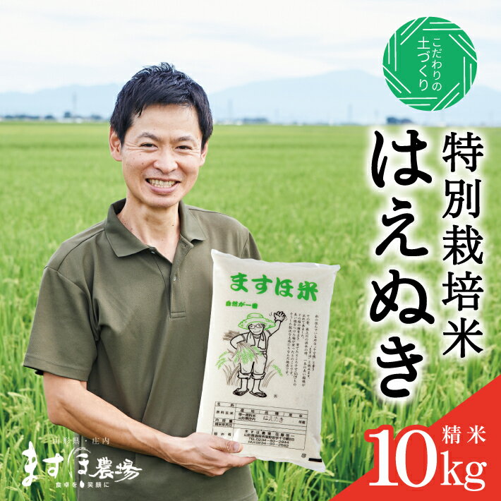 【ふるさと納税】≪新米予約≫ 特別栽培米 はえぬき 精米 計10kg 5kg×2袋 令和7年産米 山形県庄内産 ご希望時期頃お届け 米 お米 白米 庄内米 東北 酒田市 庄内地方 庄内平野