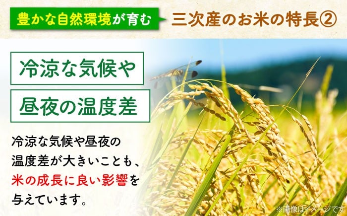 こしひかり 白米 10kg 5kg×2袋 布野特産センター APBA005 米 精米 コメ コシヒカリ お米 令和7年産 広島