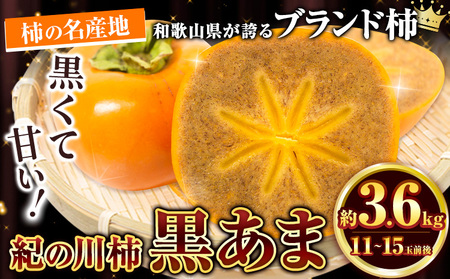柿 紀の川市柿黒あま 約3.6kg(11-15玉前後)4L-2L《10月中旬-11月末頃出荷》柿柿柿柿柿柿柿柿