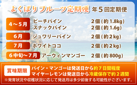 《2026年4月中旬以降発送》島のおいしいを贅沢に！大満足のパイナップル4種と最高糖度20度_完熟マンゴーの定期便　年5回に分けてお送りします