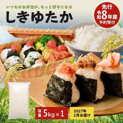 ふるさと納税 加西市 米 令和8年産 先行受付 しきゆたか 白米 5kg《2027年2月発送》 [No5698-2803]