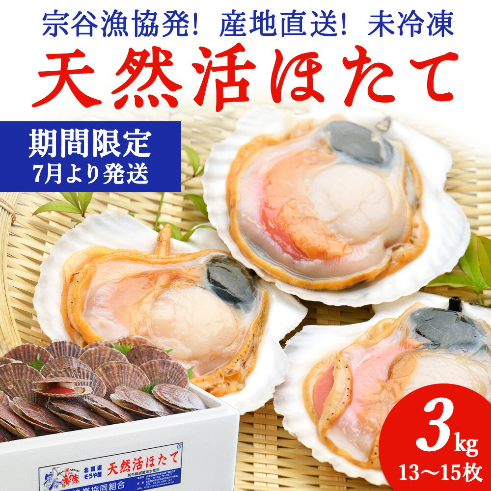 【ふるさと納税】【先行予約】宗谷漁協発!産地直送!活ほたて約3kg(13〜15枚入)刺身 海鮮 ほたて 帆立 ホタテ ホタテ貝 帆立貝 貝 海鮮 魚介 北海道 稚内市 稚内 人気 ふるさと 【配送不可地域：離島・沖縄県】