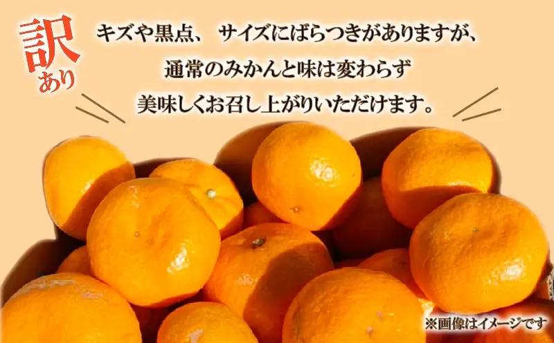 みかん 寿太郎 訳あり 約2.5kg みかん