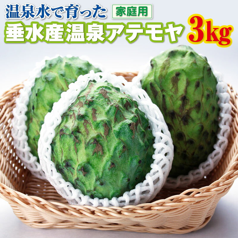【ふるさと納税】 訳あり フルーツ アテモヤ 家庭用 大容量 3kg 6〜14玉でお届け 期間限定 果物 森の アイスクリーム と呼ばれる甘くてなめらかな食感の トロピカルフルーツ トロピカル 南国 チェリモヤ バンレイシ 珍しい 鹿児島県【財宝】B2-22135