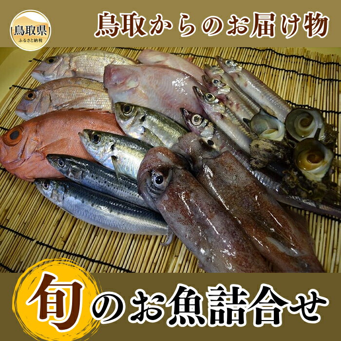 【ふるさと納税】B24-136 鳥取からのお届け物「旬」のお魚詰合せ 鳥取県 鮮魚 水揚げ 山陰