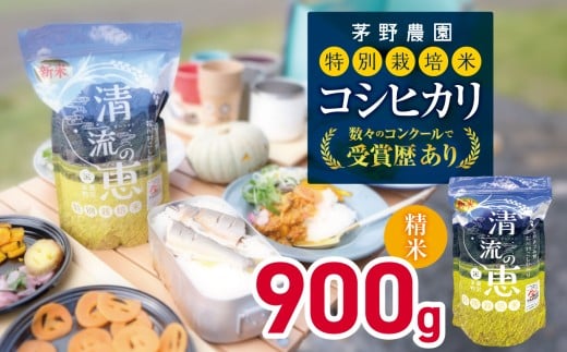 【令和7年度産先行予約】特別栽培米 コシヒカリ 900g（精米） | 米 お米 コメ こめ 精米 白米 はくまい コシヒカリ こしひかり 特別栽培米 優秀賞 最高金賞 長野県 松川村 信州