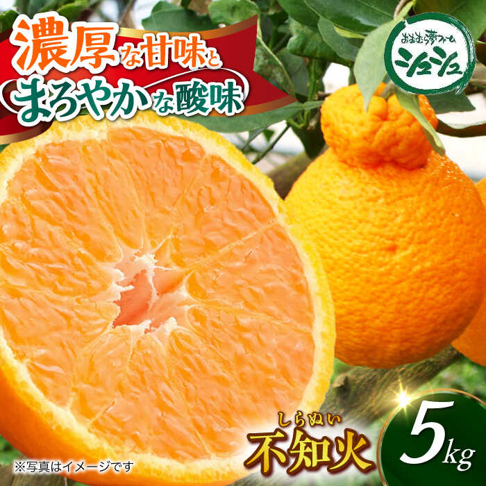 【ふるさと納税】【2026年3月中旬より順次発送予定】不知火 5kg　/ しらぬい みかん 果実 柑橘 / 大村市 / おおむら夢ファームシュシュ[ACAA299]