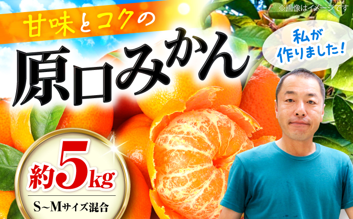 
            【おすそわけにも！】 【贈答用】 原口みかん 約 5kg（S～Mサイズ混合） ＜最強の兼業農家山田さん＞ [CCX010]
          