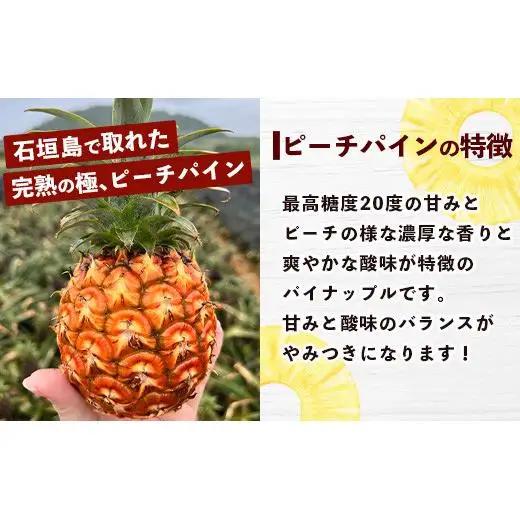 島のおいしいを贅沢に！パイナップル3種とマンゴー2種のよくばり定期便《2027年4月以降発送》