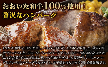おおいた和牛100%　デミ＆プレーンハンバーグ　36個　合計約3.7kg　|　津久見市