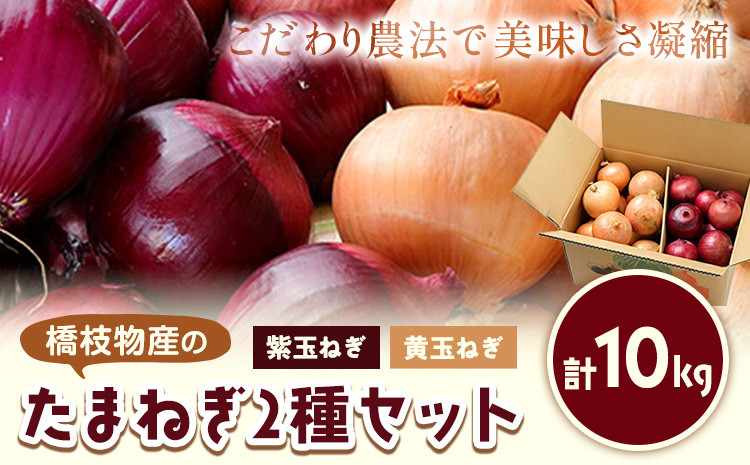 
            電子技法栽培たまねぎ2種セット 紫玉ねぎ 黄玉ねぎ 合計約10kg 野菜《10月上旬から順次出荷》橋枝物産 北海道 浦幌町 st-p
          